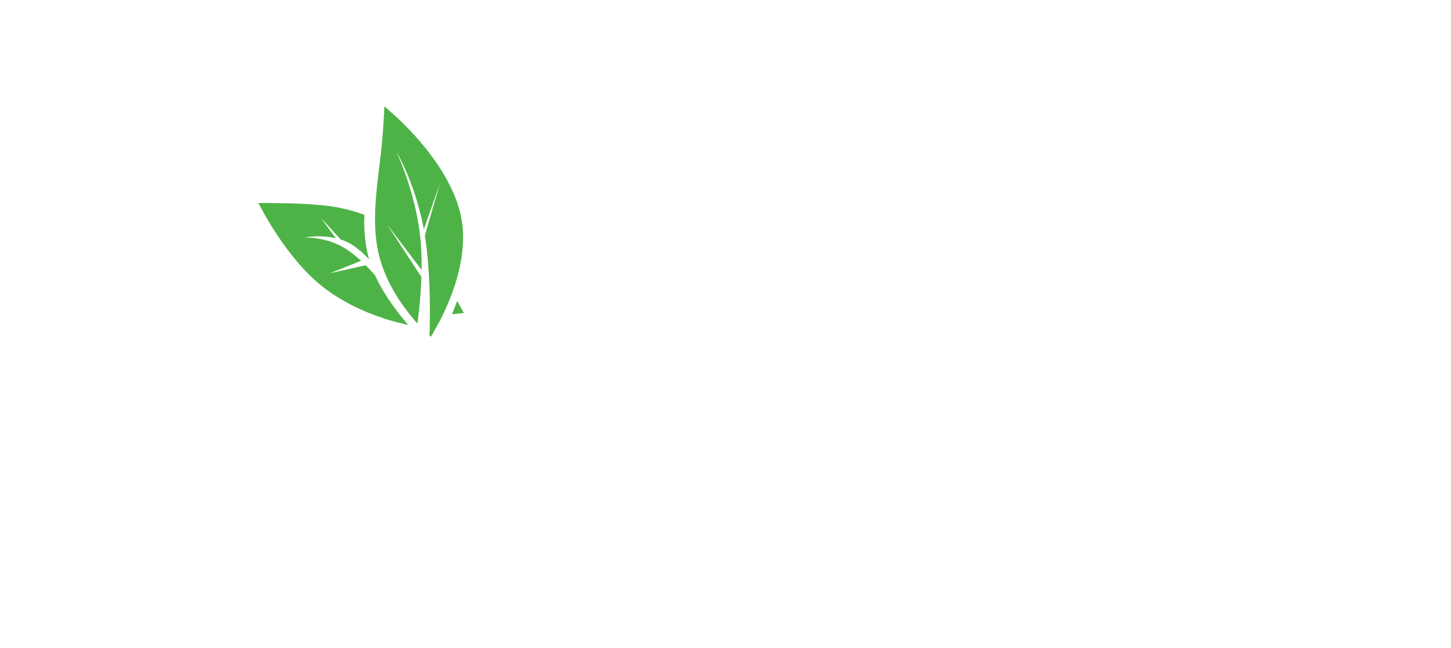 Nostro Fumo